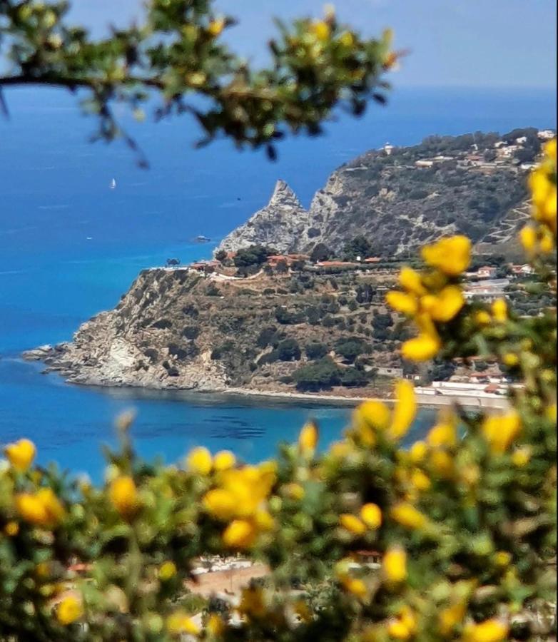 Il Giardino Di Capo Vaticano B&B And Apartments Exterior foto