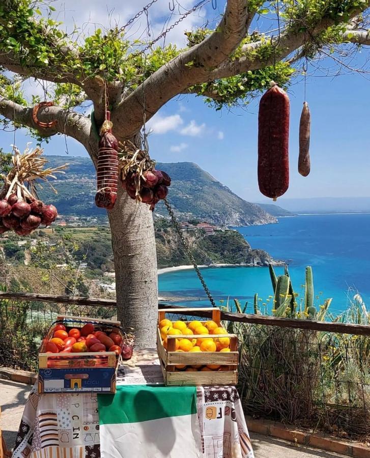 Il Giardino Di Capo Vaticano B&B And Apartments Exterior foto